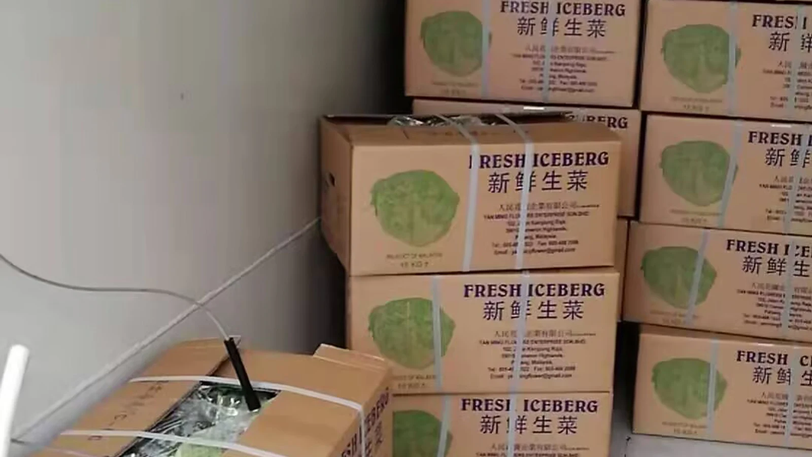 Packed fresh-produce cartons arranged for a commercial vacuum-cooling load check