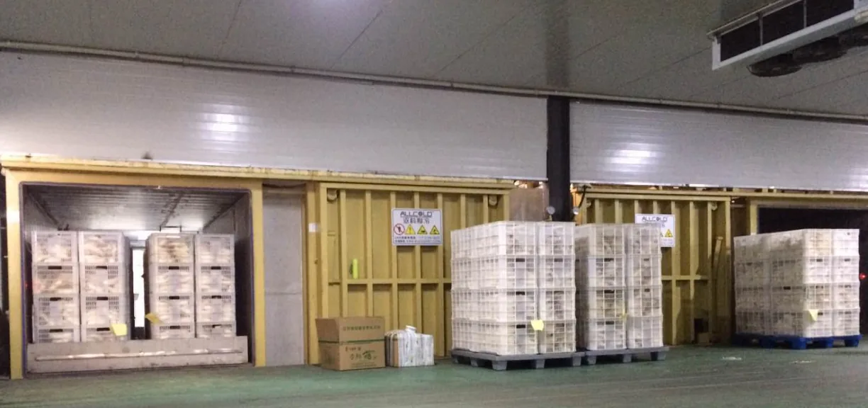 Pallets of white produce crates inside and in front of yellow Allcold vacuum cooling chambers