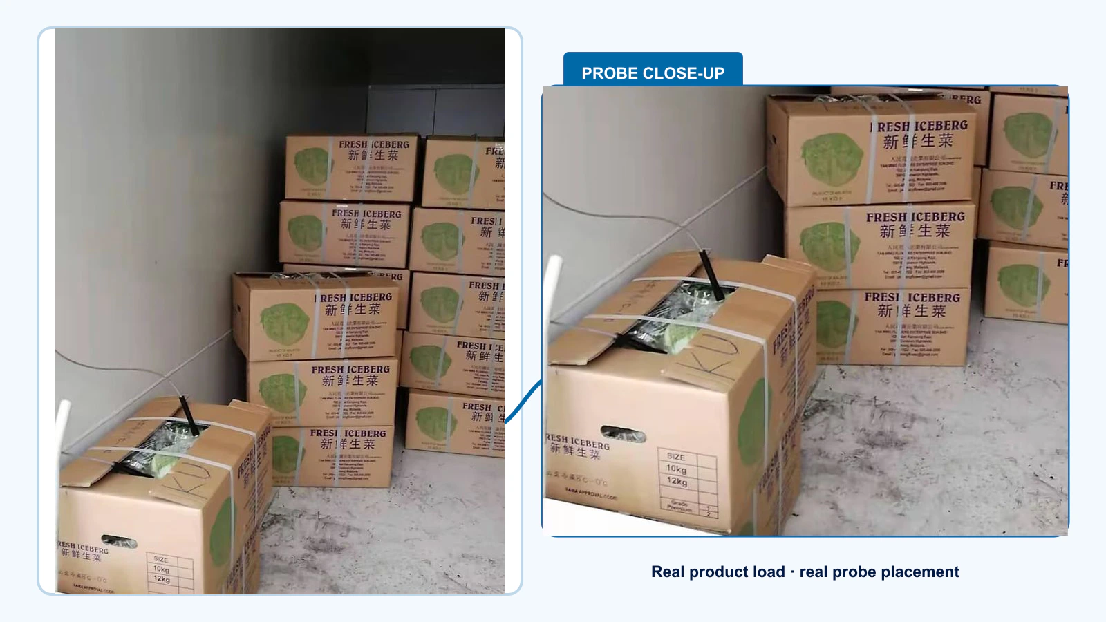 Real temperature probe inserted through an opening in a carton of iceberg lettuce inside a vacuum-cooling chamber