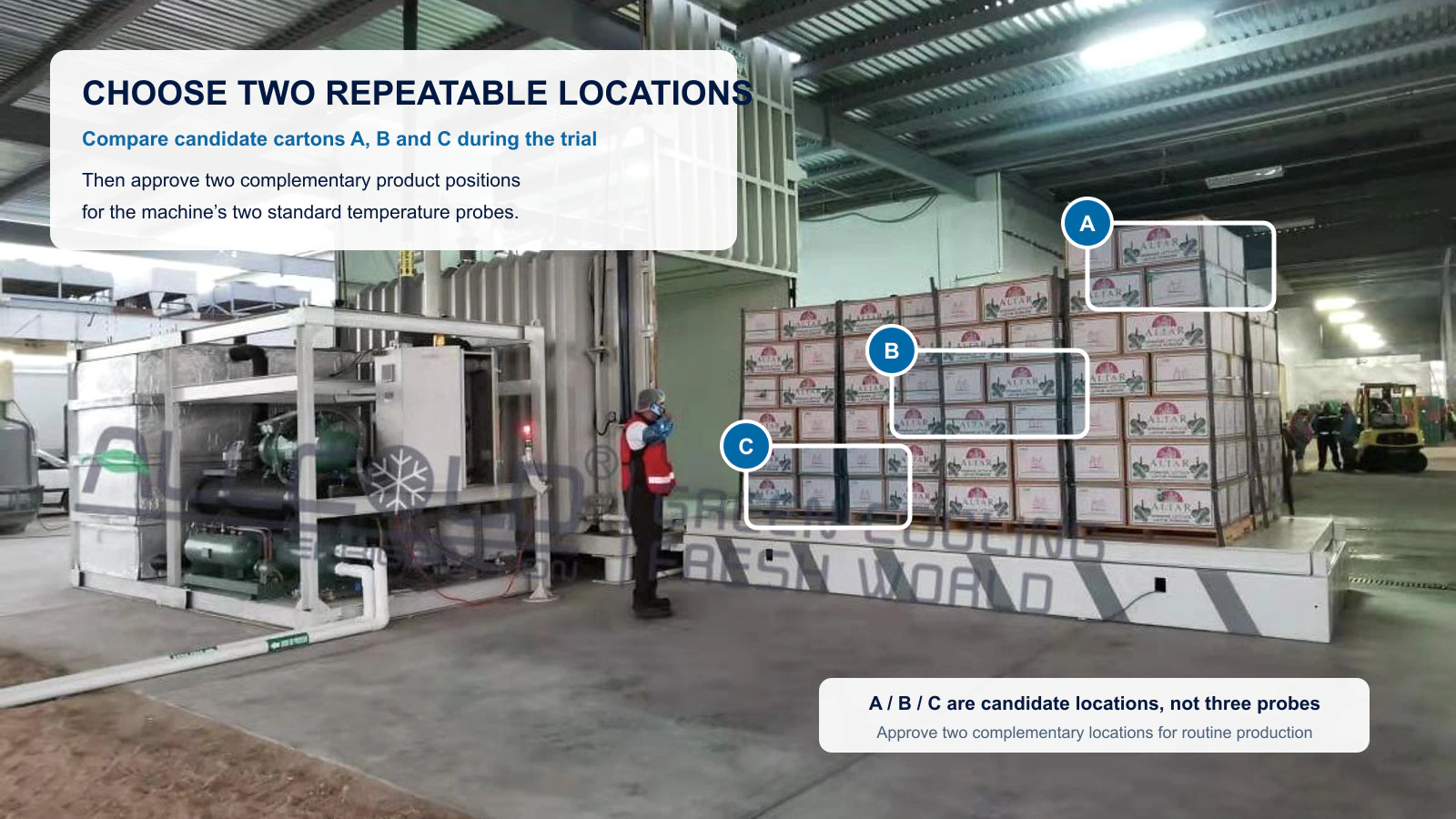Real Allcold fresh-produce installation with three candidate cartons marked A B and C for choosing two routine probe locations