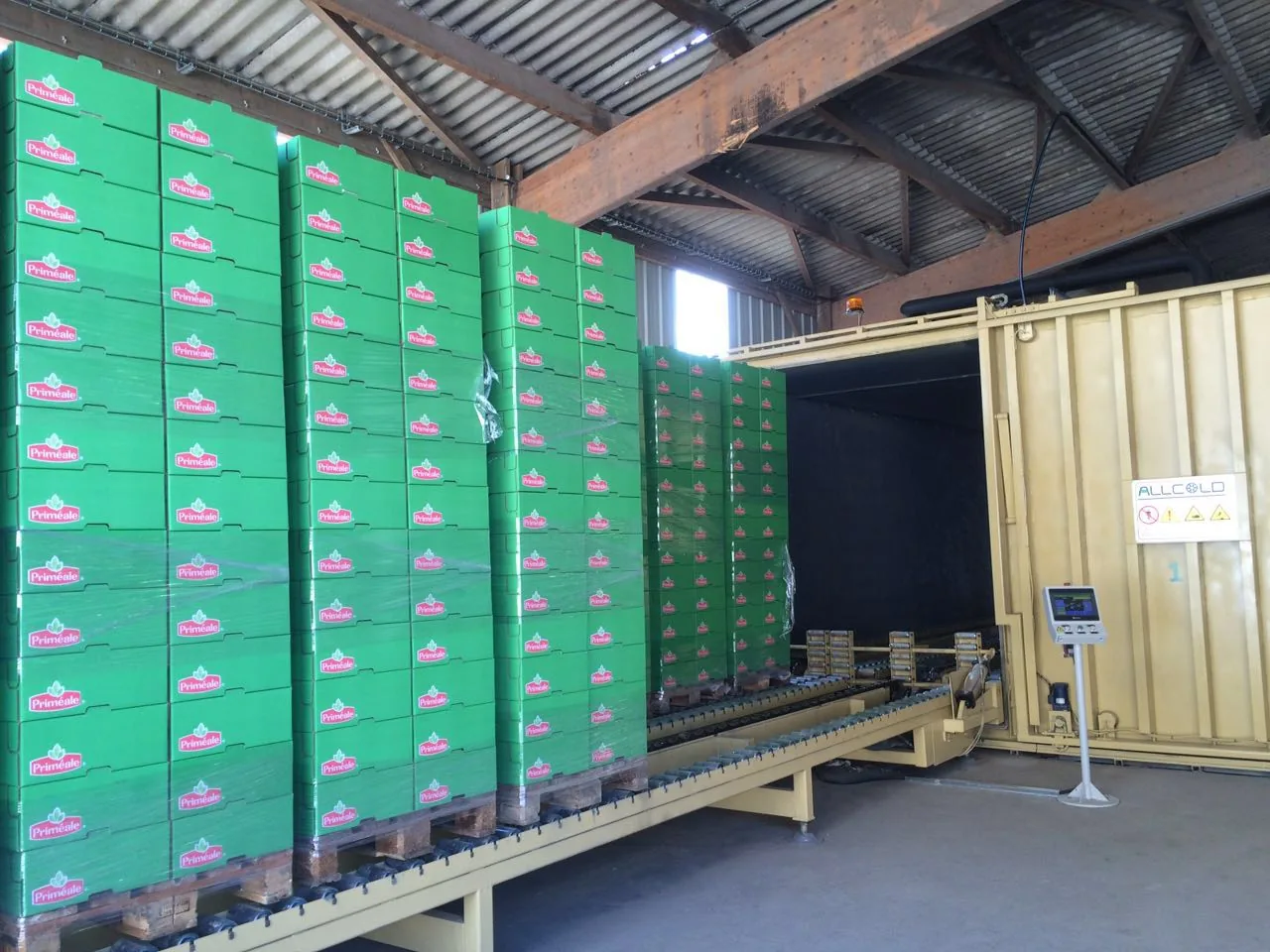 Vacuum Cooling Celery: Is It the Right Choice for Your Packing Line?