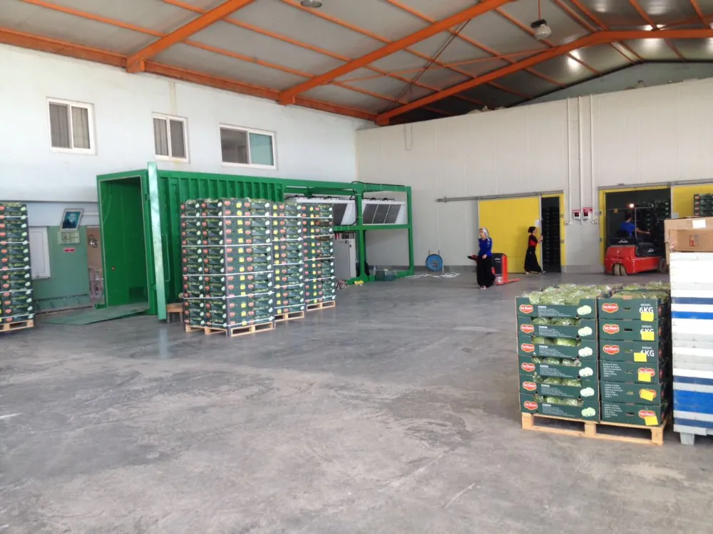 Containerized vacuum cooling system in a vegetable processing facility, rapidly cooling packed Brussels sprouts and lettuce on pallets for export readiness