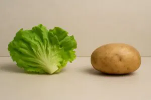 Illustration comparing the surface area of a head of lettuce vs. a dense potato of similar weight