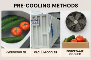 Side-by-side comparison: hydrocooler, vacuum cooler, forced-air cooler with cucumbers/tomatoes
