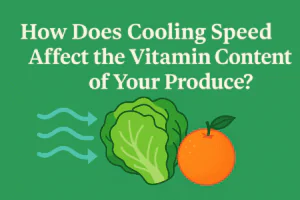 Graphic design showing the impact of cooling speed on produce vitamin content, with lettuce and orange illustration and airflow arrows