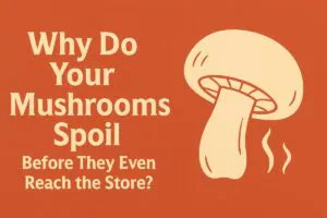 Graphic illustration featuring the question “Why Do Your Mushrooms Spoil Before They Even Reach the Store?” with an image of a spoiled mushroom, emphasizing post-harvest loss and supply chain issues.