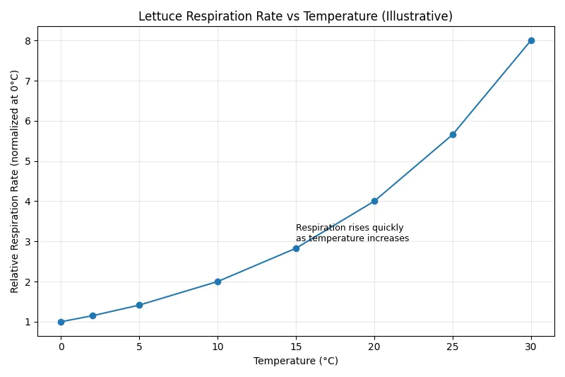 Graph showing respiration rate of lettuce at different temperatures