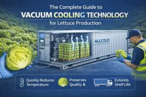 The complete guide to vacuum cooling technology for lettuce production infographic showing a containerized vacuum cooler with lettuce pallets, evaporation arrows, and key benefits: rapid temperature reduction, preserved quality, and extended shelf life.