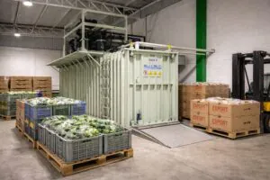 Painted carbon steel vacuum cooler supporting fresh produce export workflow