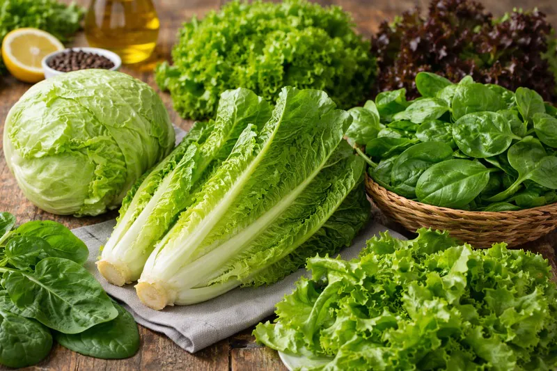 A variety of lettuce types (Iceberg, Romaine, Spinach) arranged on a table