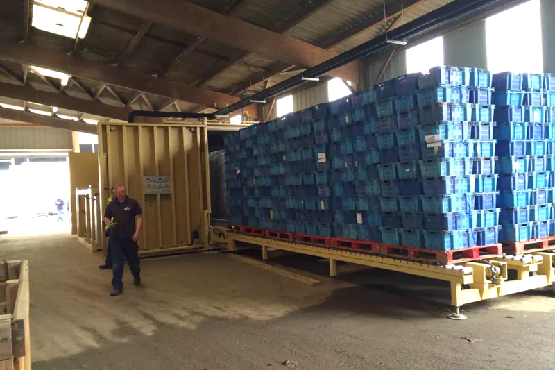 Fresh organic lettuce heads moving into a vacuum cooler chamber painted in industrial white