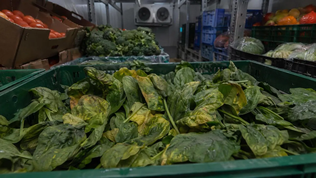 Ethylene sensitivity in spinach causing accelerated yellowing and quality loss