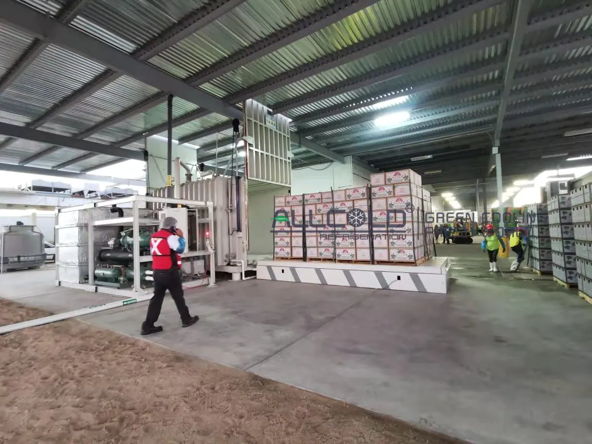 Real Allcold produce vacuum cooler installation with its vertical-lift door raised above loaded vegetable pallets
